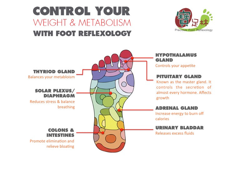 Unlocking the Path to Weight Loss and a Revved-Up Metabolism through Reflexology