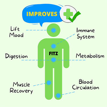 The Original FITZ Healing Kit: Reflexology Slippers | Foot Massage ...