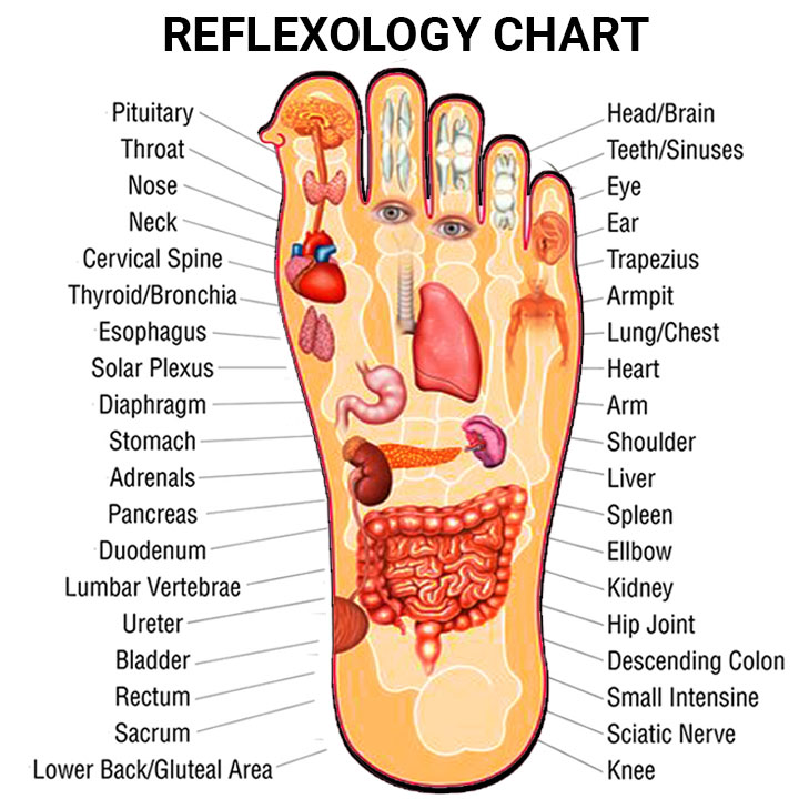 The Original FITZ | Reflexology Slippers Massage Slippers | Foot Massage | Unisex Sizing | Black
