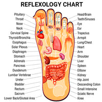 Thumbnail for The Original FITZ | Reflexology Slippers Massage Slippers | Foot Massage | Unisex Sizing | Black